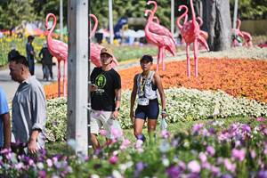 BIB: 
                            <button type="button" onclick="openModal(27794014)" class="btn btn-primary btn-sm float-right btn-popup" data-toggle="modal" data-target=".modal-high-quality">
                        <i class="fas fa-shopping-cart"></i> Add to Cart
                    </button>
                                            <button type="button" onclick="isThisMe(27794014, true)" class="btn btn-success btn-sm float-right btn-popup btn-isme hidden" data-toggle="tooltip" data-placement="bottom" title="นี่คือรูปของคุณใช่ไหม คลิกที่นี่เพื่อเอาเข้าอัลบั้ม">
                        <i class="fas fa-plus"></i> Add to album
                    </button>
                    <button type="button" onclick="isThisMe(27794014, false)" class="btn btn-warning btn-sm float-right btn-popup btn-isnotme hidden">
                        <i class="fas fa-ban"></i> Remove from album
                    </button>